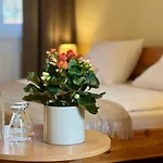 Hotel Marislav 3*
