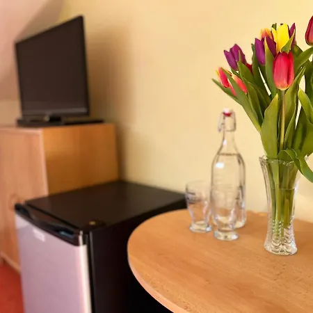 Гостевой дом Marislav 3*