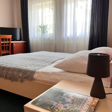 Hotel Marislav 3*