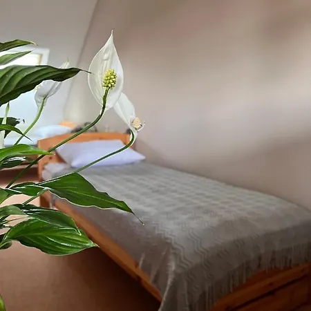 Marislav 3* Cesnovice