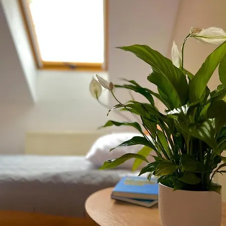 Marislav 3* Cesnovice