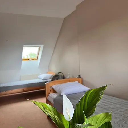 Hotel Marislav Cesnovice