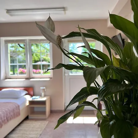 Hotel Marislav Guest house