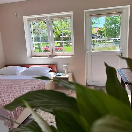 Hotel Marislav Guest house 3*
