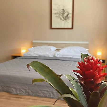 Hotel Marislav 3*