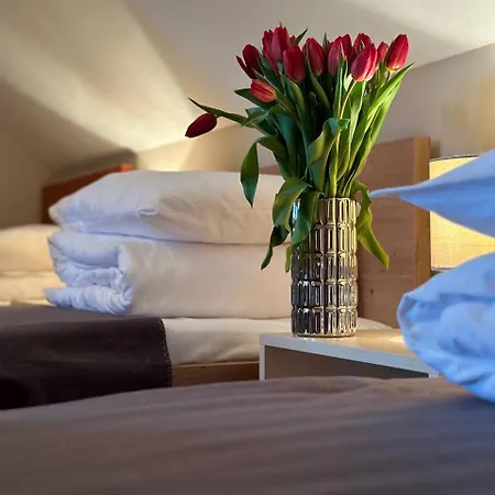Hotel Marislav 3* Cesnovice