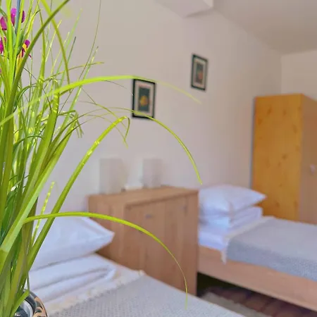 Guest house Hotel Marislav 3*