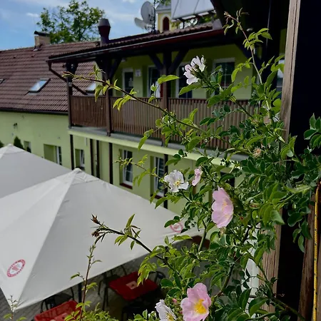 Guest house Hotel Marislav
